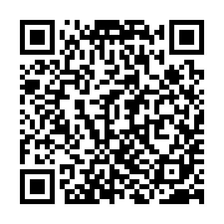 QR code for YLC381