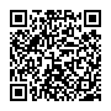 QR code for YSF613