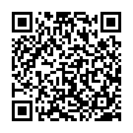QR code for YZT334