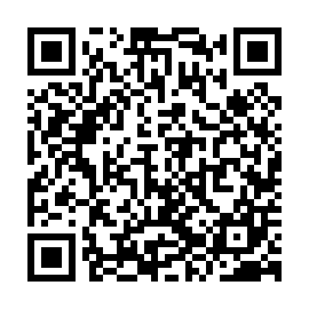QR code for YZV007
