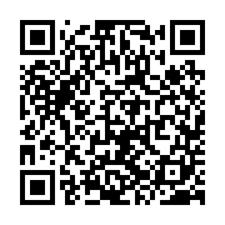 QR code for YZV241
