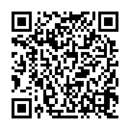 QR code for ZDB318