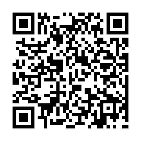 QR code for ZDC389