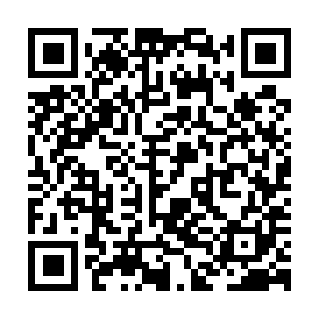 QR code for ZDG581