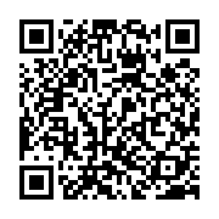 QR code for ZDM509