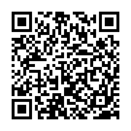 QR code for ZDS317