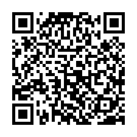 QR code for ZGH028