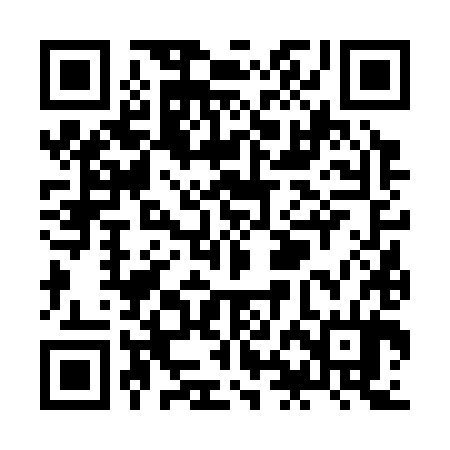 QR code for ZHF384