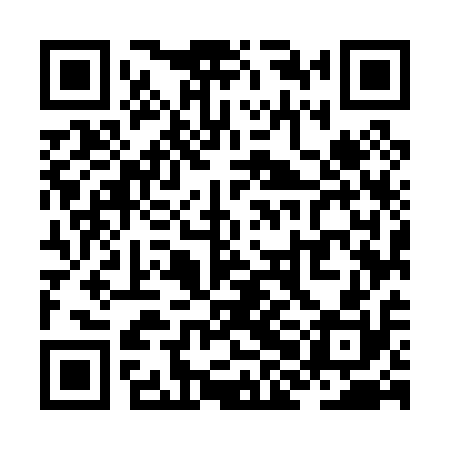 QR code for ZHM010