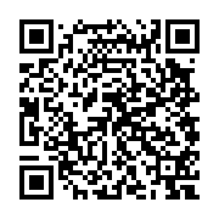 QR code for ZHV010