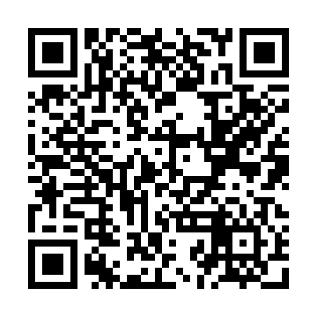 QR code for ZJJ306