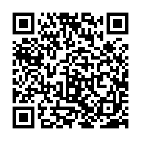 QR code for ZJT993