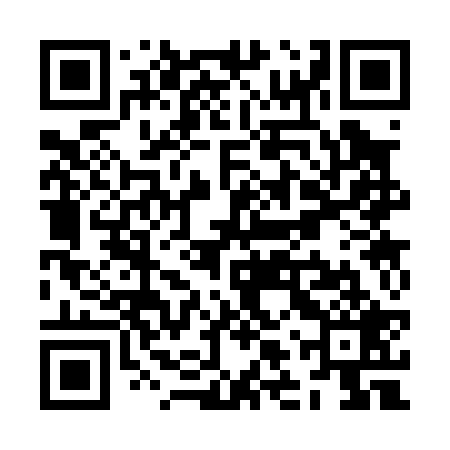 QR code for ZLS029