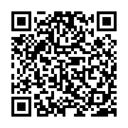QR code for ZLY198
