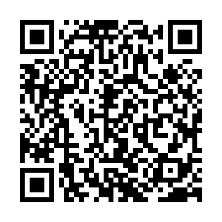 QR code for ZMJ838