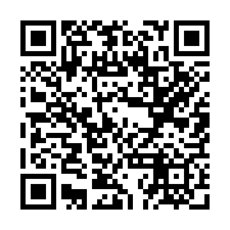QR code for ZNM369