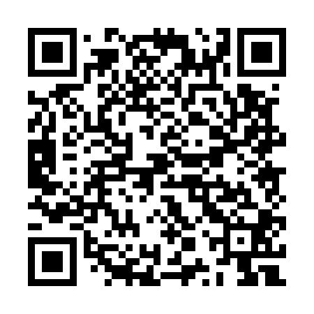 QR code for ZPP500