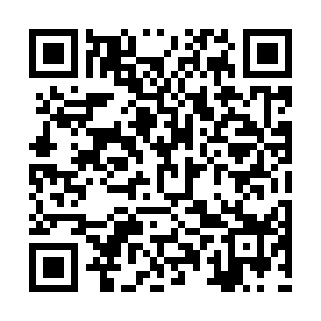 QR code for ZPT959