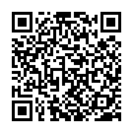 QR code for ZSV509