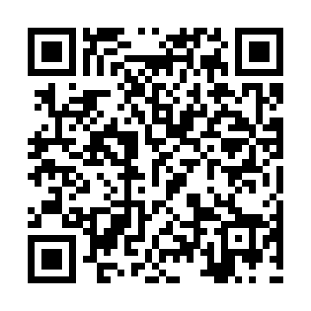 QR code for ZTN368