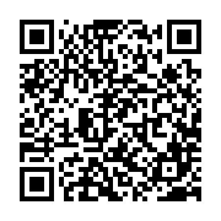 QR code for ZTT386