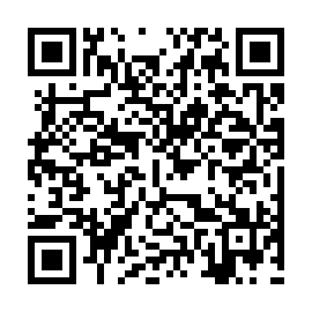 QR code for ZVV391
