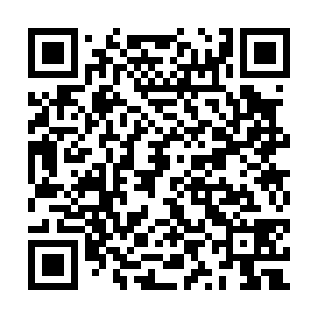 QR code for ZYC038