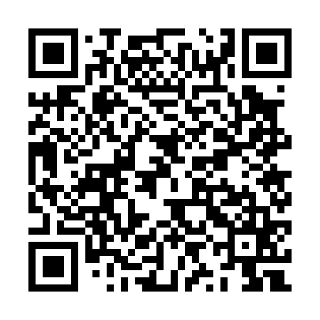 QR code for ZYG065