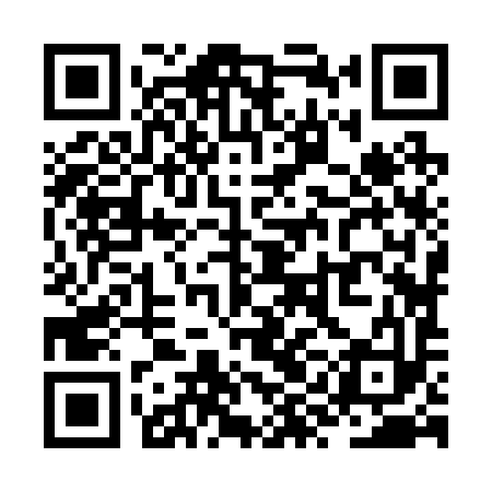 QR code for ZYJ293