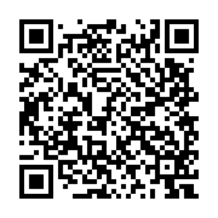 QR code for ZYR596