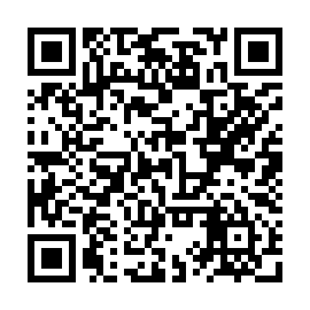 QR code for ZYS995