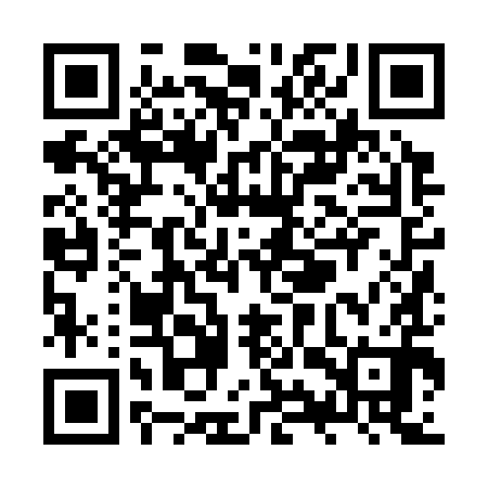 QR code for ZYZ390
