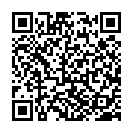 QR code for ZZD519