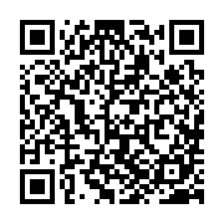 QR code for ZZH385