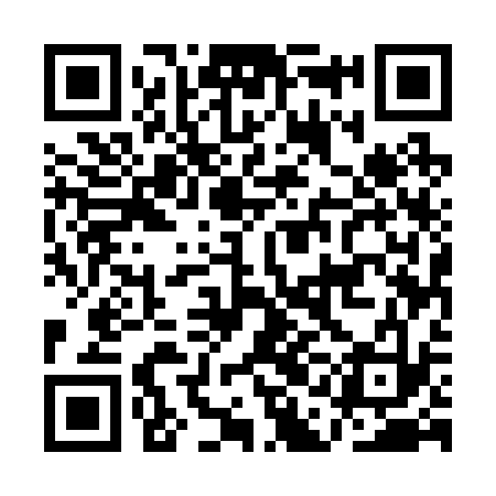QR code for AAE233
