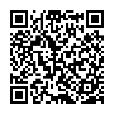 QR code for AAG241