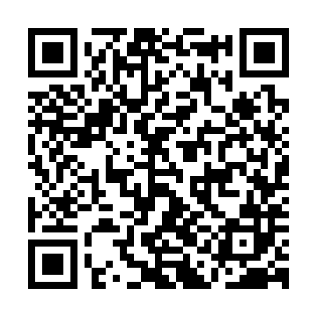 QR code for AAG382