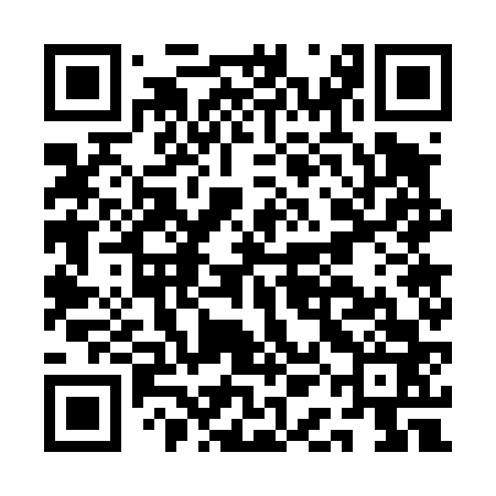 QR code for AAG463