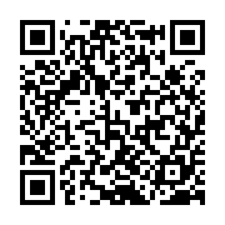 QR code for AAG955