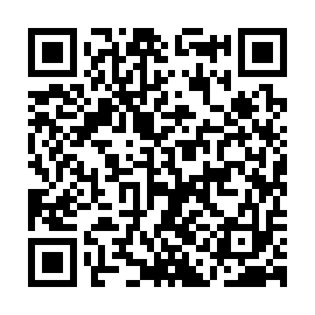 QR code for AAI313