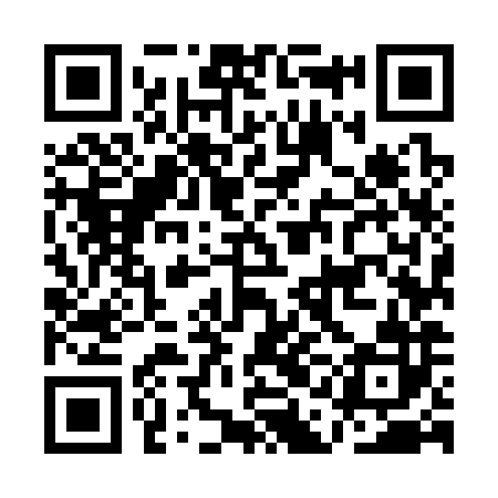 QR code for AAM382