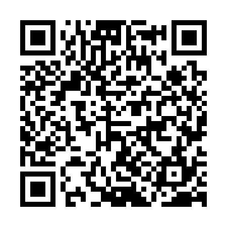 QR code for AAN334