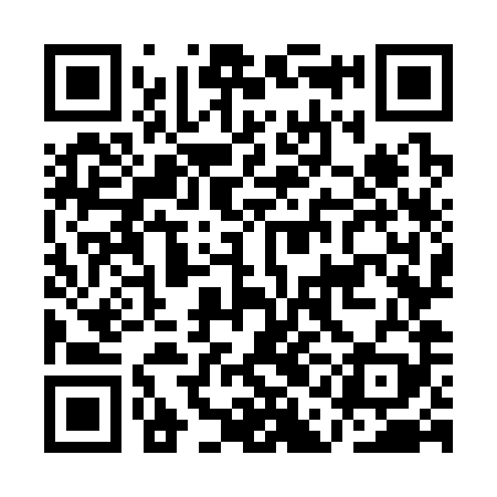 QR code for AAO389