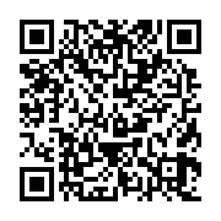 QR code for AAS369