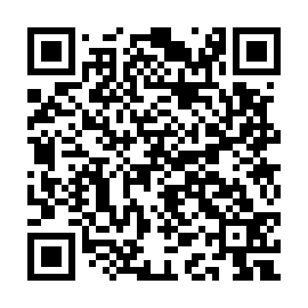 QR code for AAS533