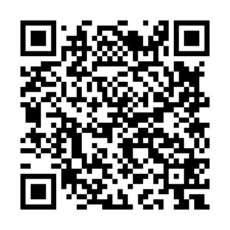 QR code for AAS868