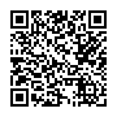 QR code for AAS954