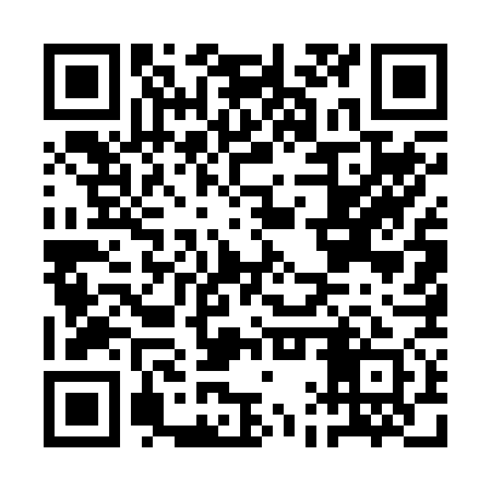 QR code for AAU271