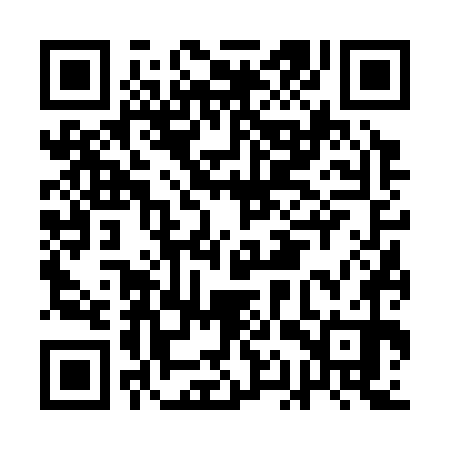 QR code for AAV370