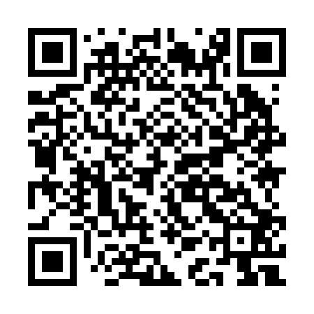 QR code for AAY202